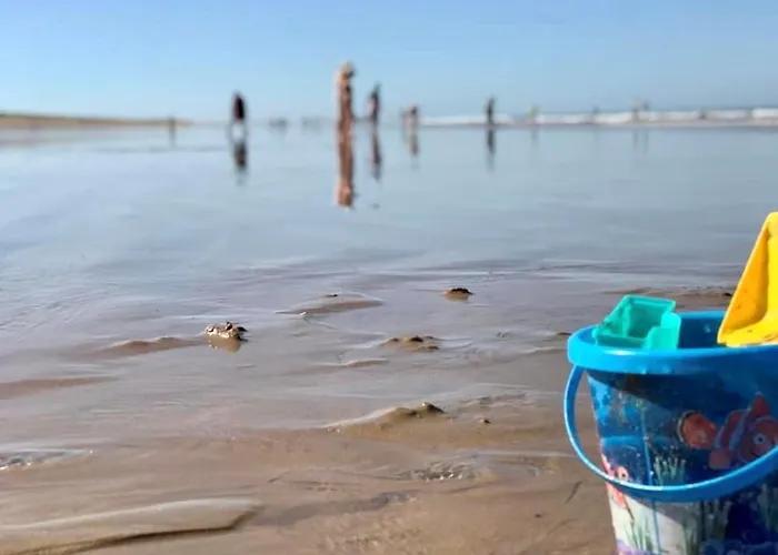 Location Type 2 A : Piscine Chauffee, Tennis, Pres Commerces Et - Fr-1-231-293 度假居 *